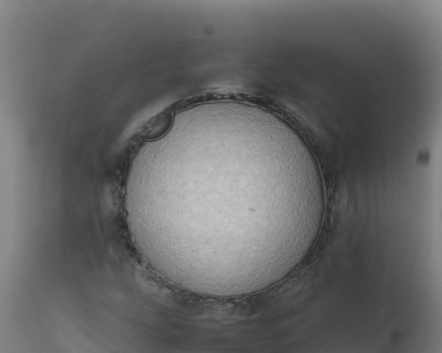 X0000112411207200908281806