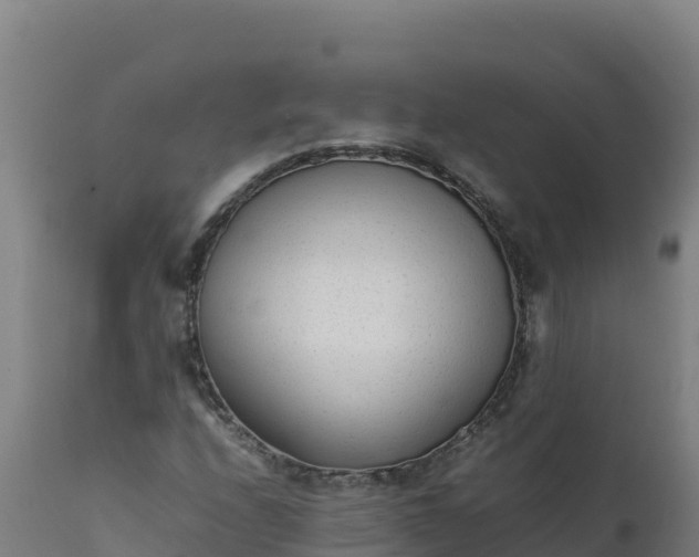 X0000112411208200908281806