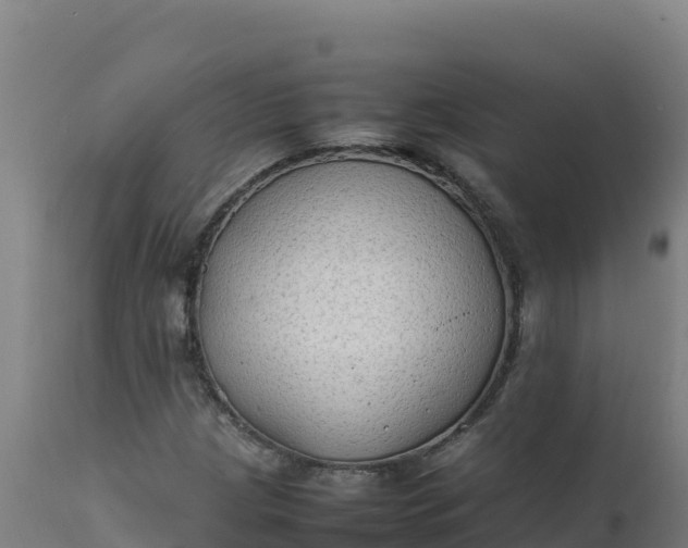 X0000112411209200908281806