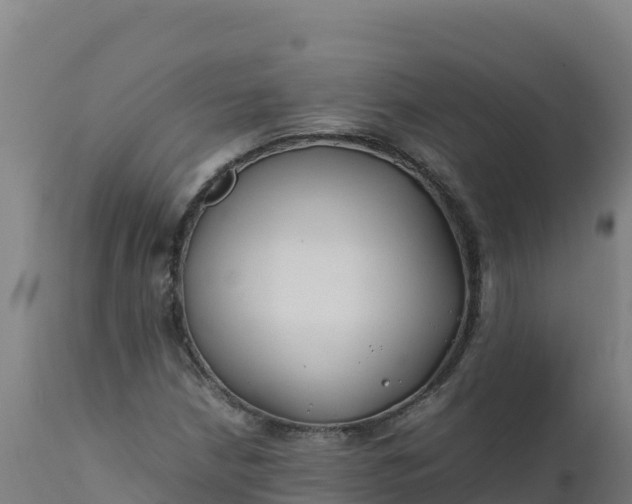 X0000112411210200908281806