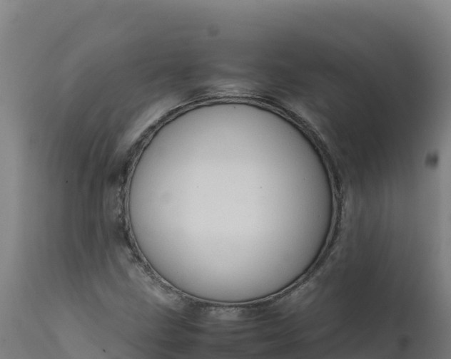 X0000112411211200908281806