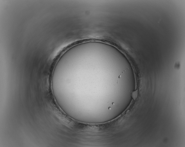 X0000112411214200908281806