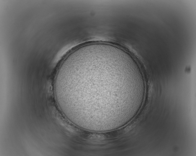 X0000112411215200908281806