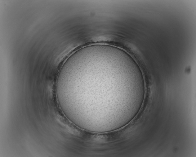 X0000112411217200908281806