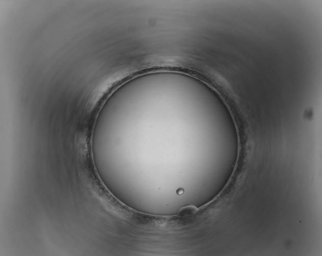 X0000112411218200908281806