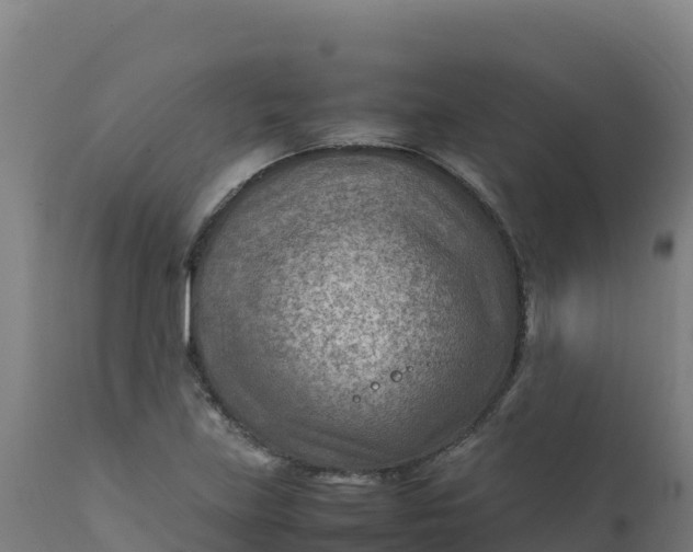 X0000112411219200908281806