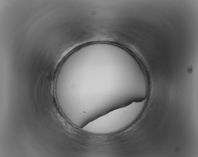 X0000112411220200908281806