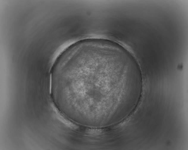 X0000112411223200908281806