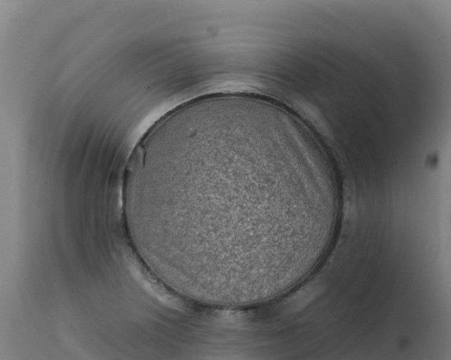 X0000112411226200908281806