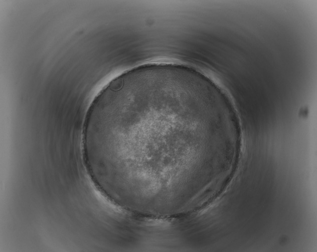 X0000112411229200908281806