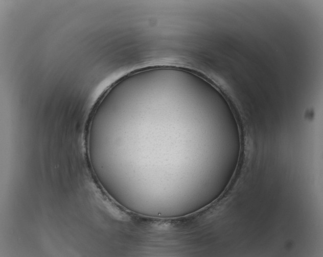 X0000112411230200908281806