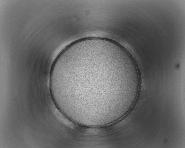 X0000112411232200908281806