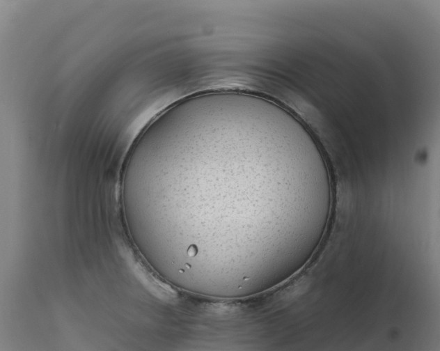 X0000112411234200908281807