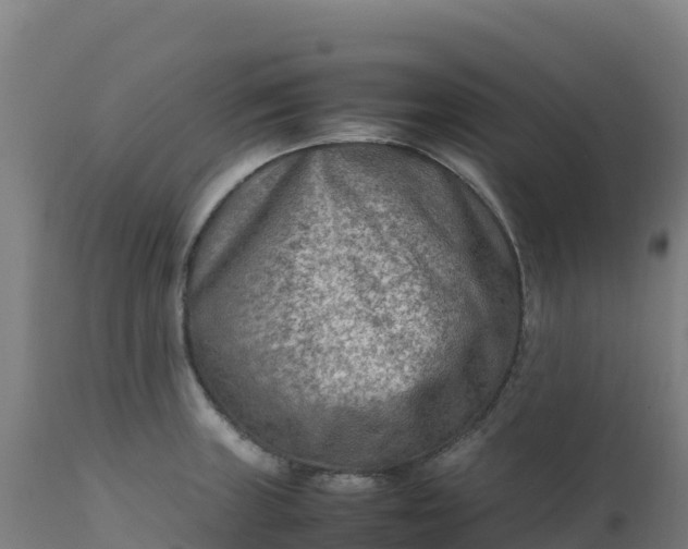X0000112411235200908281807