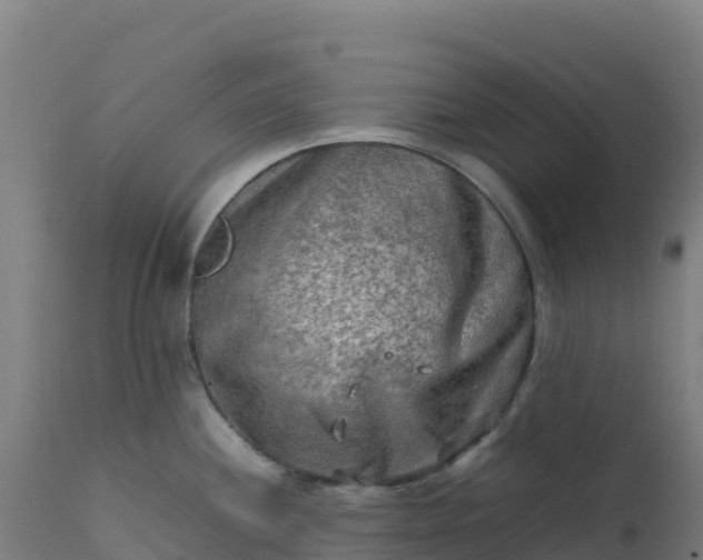 X0000112411244200908281807