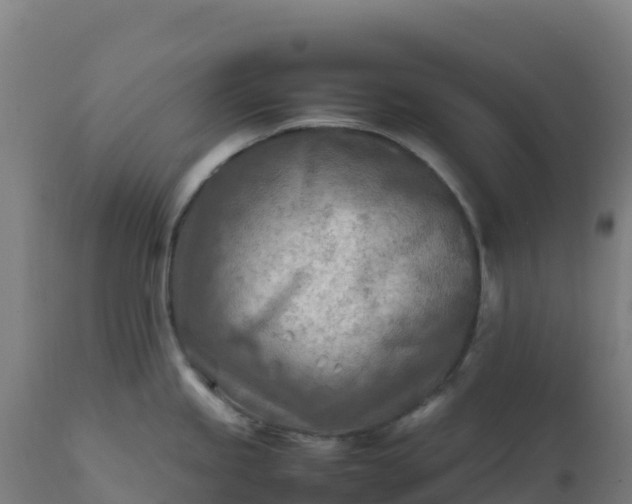 X0000112411245200908281807