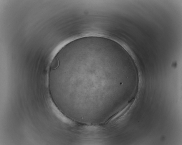 X0000112411246200908281807