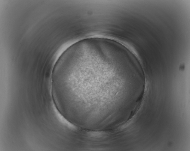 X0000112411247200908281807