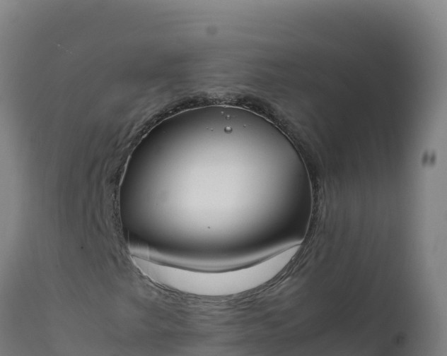 X0000112411249200908281806