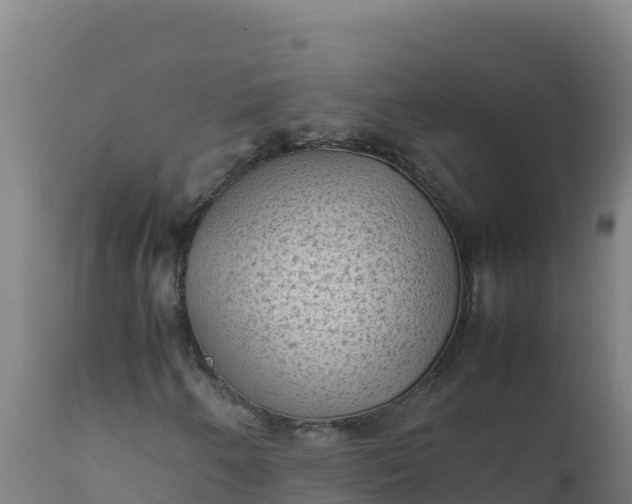 X0000112411250200908281806