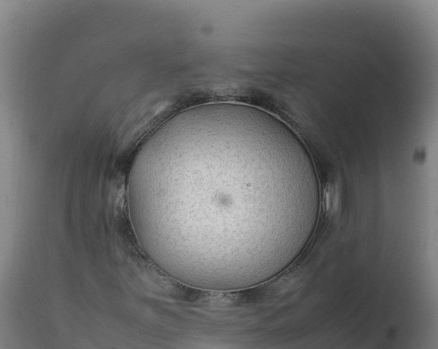 X0000112411251200908281806