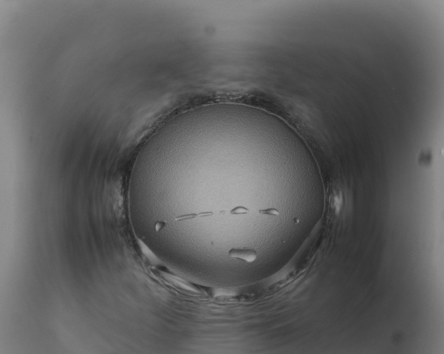 X0000112411252200908281806