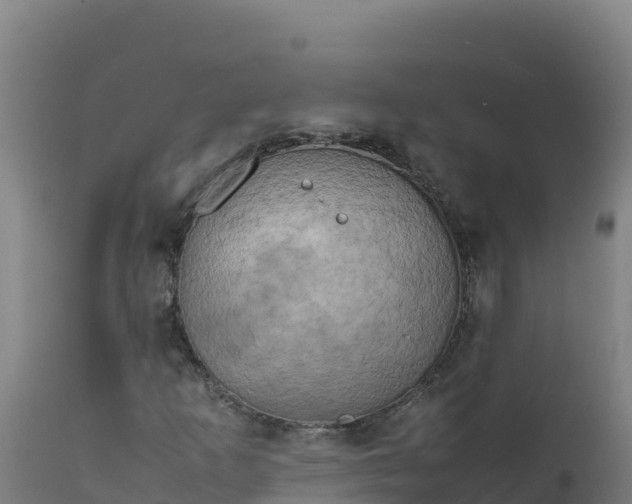 X0000112411253200908281806