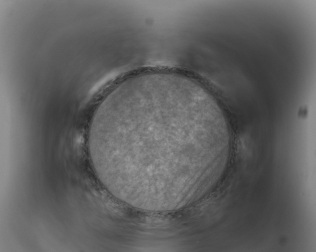 X0000112411254200908281806