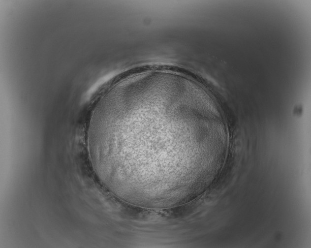 X0000112411255200908281806