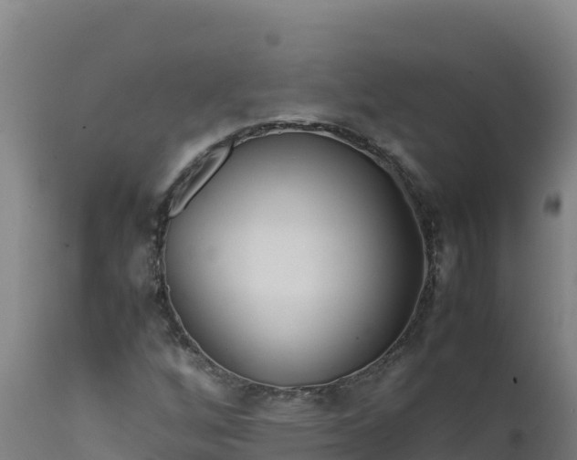 X0000112411256200908281806