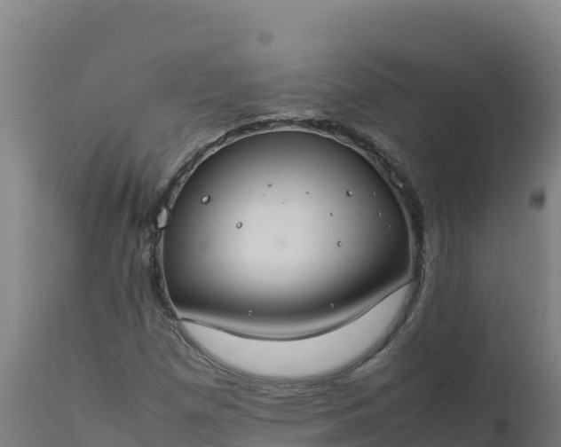 X0000112411257200908281806