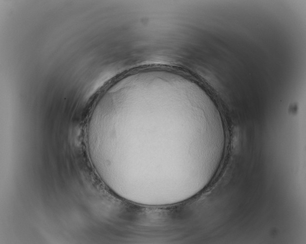 X0000112411258200908281806