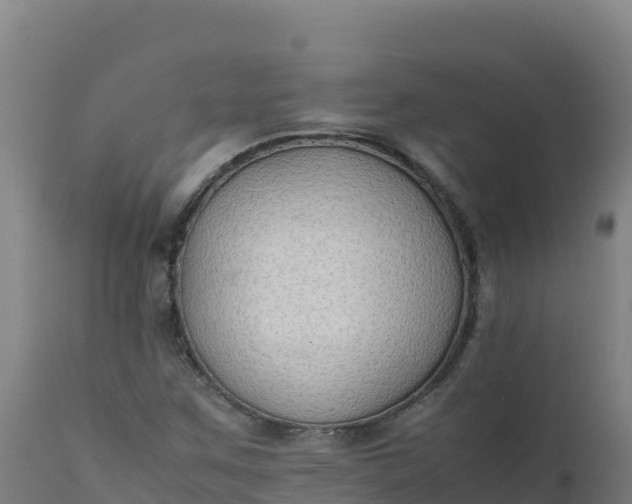 X0000112411259200908281806