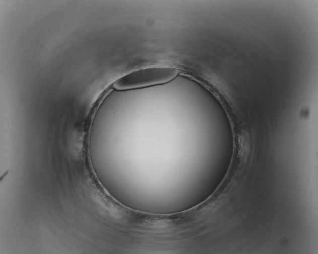 X0000112411260200908281806