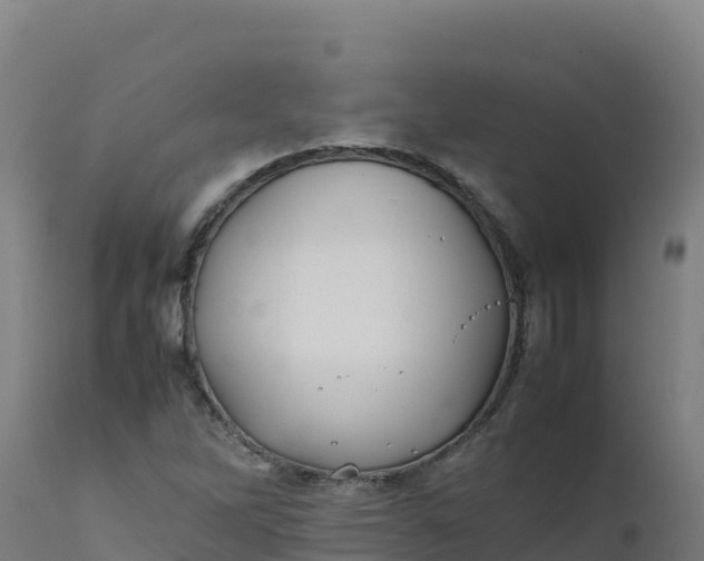 X0000112411262200908281806
