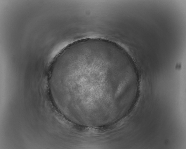 X0000112411263200908281806