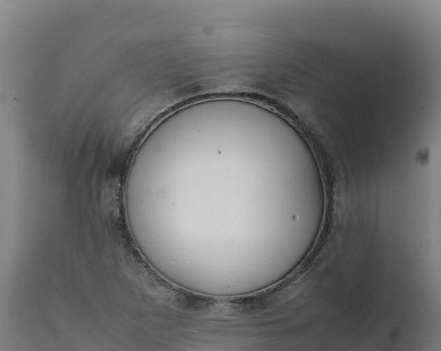 X0000112411265200908281806