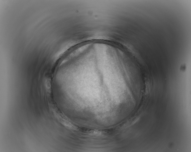 X0000112411266200908281806