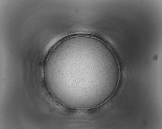 X0000112411267200908281806