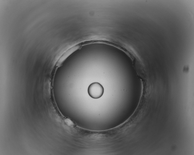 X0000112411268200908281806