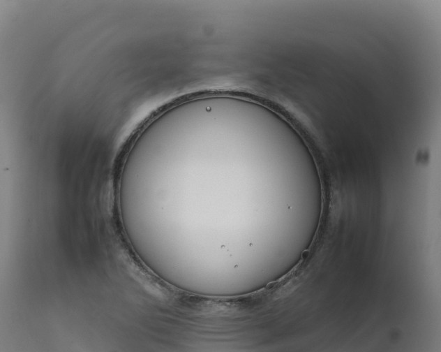 X0000112411270200908281806