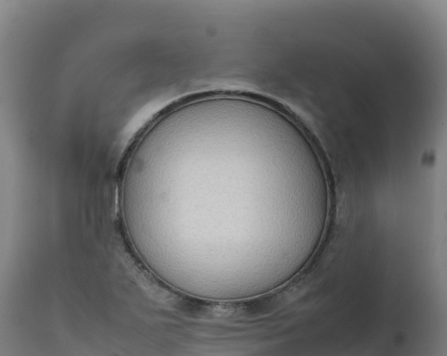 X0000112411271200908281806