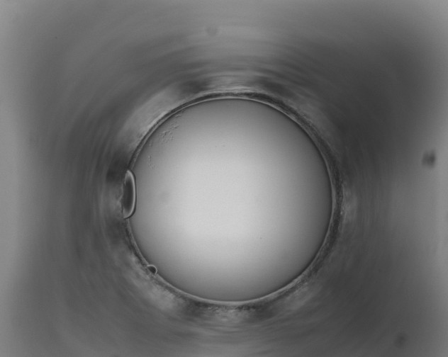 X0000112411273200908281806