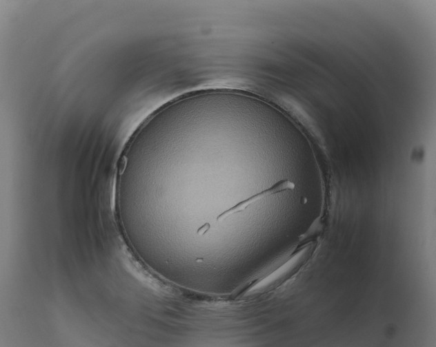 X0000112411276200908281806