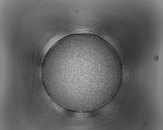 X0000112411277200908281806