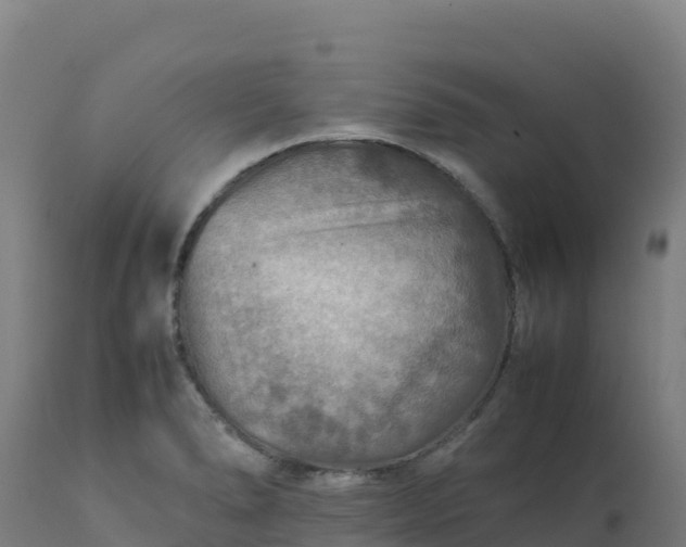 X0000112411278200908281806