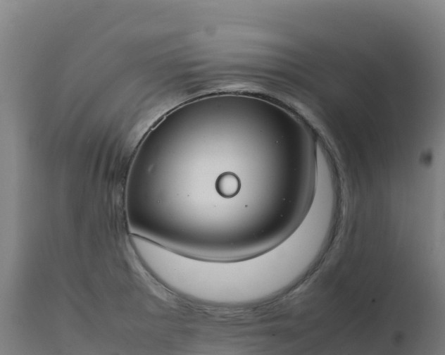 X0000112411281200908281806