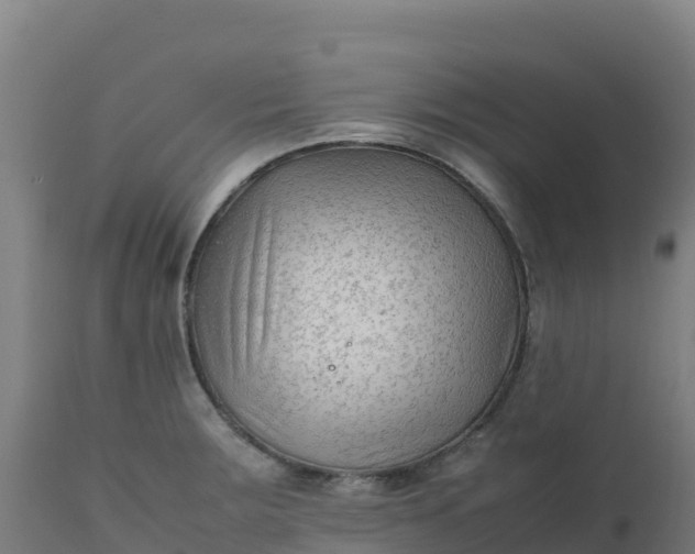 X0000112411283200908281806