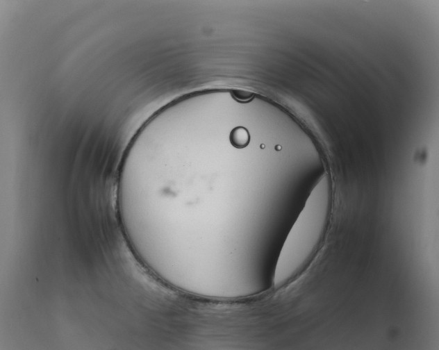 X0000112411284200908281806