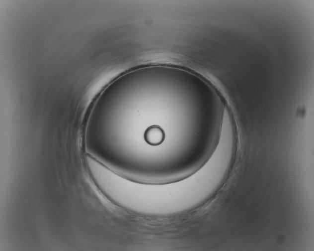X0000112411285200908281806